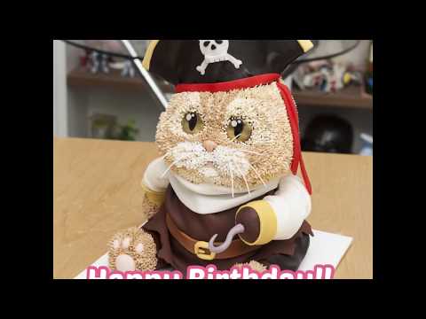 Chat déguisé en pirate