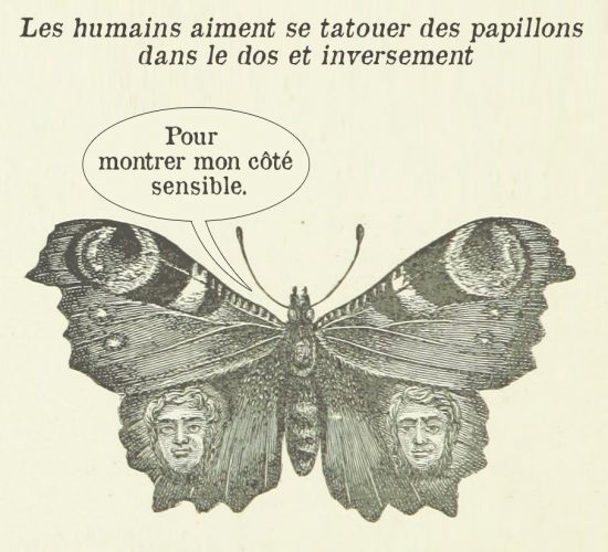 Les humains aiment se taouter des papillons dans le dos et inversement - Pour montrer mon côté sensible