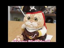 Chat déguisé en pirate