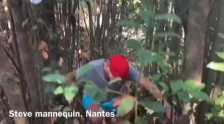 Steve, mannequin, Nantes