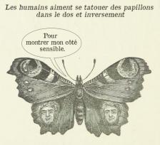 Les humains aiment se taouter des papillons dans le dos et inversement - Pour montrer mon côté sensible